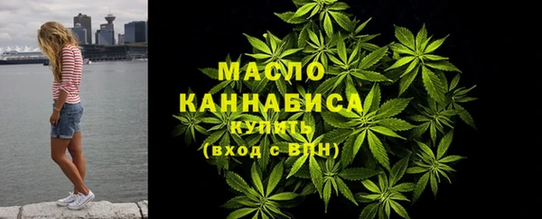 индика Вязники